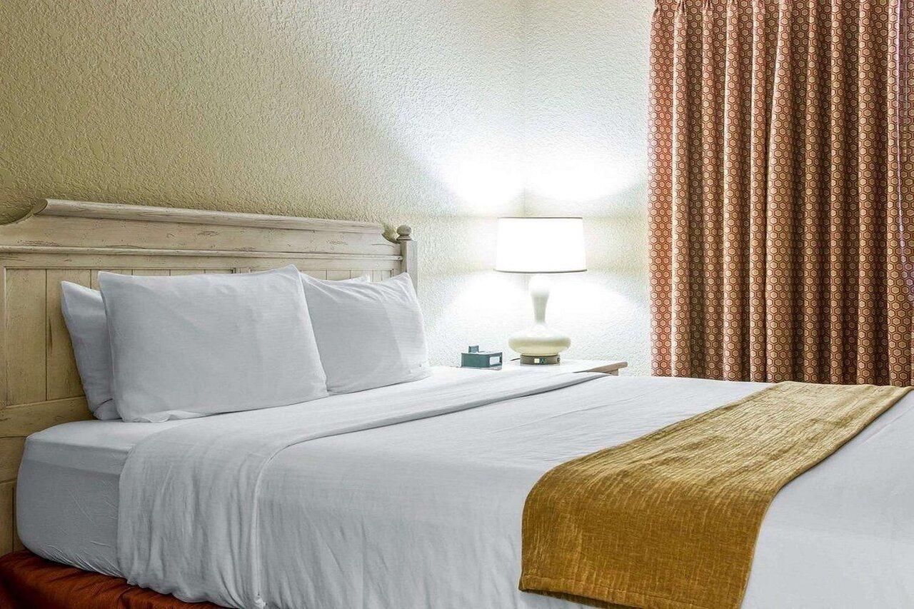 Hotel Mountain Run At Boyne à Boyne Falls Extérieur photo